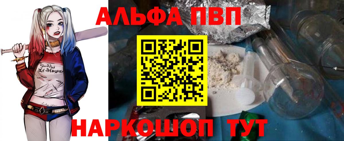 A PVP СК Сыктывкар