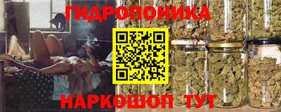 jwh Можга