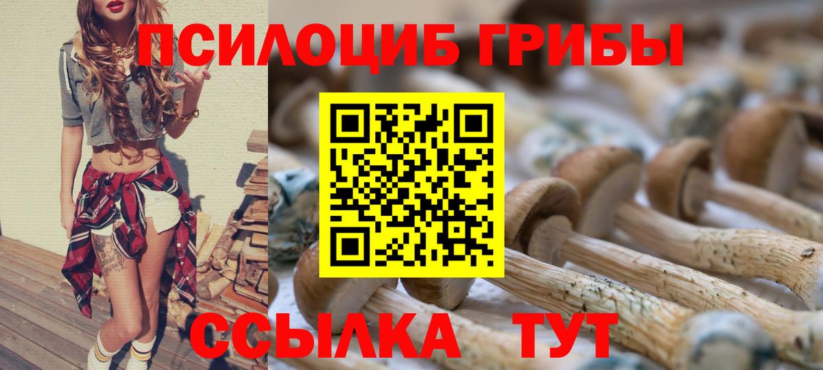 Галлюциногенные грибы ЛСД Сыктывкар