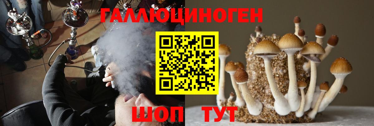 Сыктывкар  Галлюциногенные грибы MAGIC MUSHROOMS  Псилоцибиновые грибы Magic Shrooms  Вход с VPN 